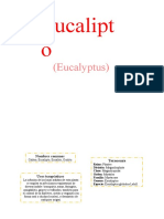 Taxonomia y Usos Medicinales-Herbario