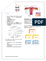 Ciclo Menstrual Este Sí