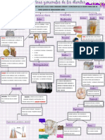 Mapa Generalidades de Los Dientes