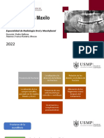 Traumatismo Maxilofacial Clinica