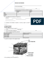 Science Modul F2 Chapter 1 The World Through Our Sense