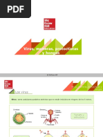 Biología 1º ESO Tema 8