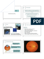 Aula Biofísica Da Visão