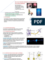 El Sistema Nervioso Parte 1