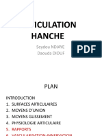 Articulation Hanche