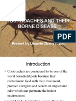 Cockroaches and Their Borne Disease - 20160601100215