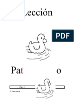 Lección Pato RM