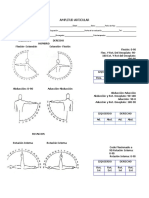 Eval. Amplitud Articular