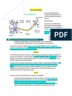 Neurofisiología