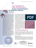 Lesiones Cutaneas y Enfermedad Sistemica en Felinos Sep 2017