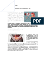 Patologías Del Tracto Urinario Alto y Bajo