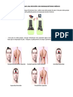 03 Planos - Columna - Bansal - Regeneración Órganos y Glándulas para Imprimir