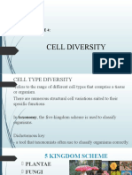 Cell Diversity