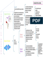 Funciones de La Neurona