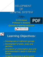 23 - Development of Genital System