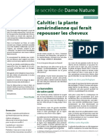 DameNature 21 Mai 2019 Calvitie La Plante Amerindienne Qui Ferait Repousser Les Cheveux SD