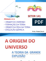 BIO 141 - Módulos 1 e 2 (Origem Da Vida)