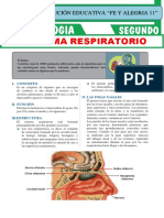 Sistema Respiratorio para Segundo Grado de Secundaria - pdf.FYA