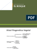 Biología. Botánica