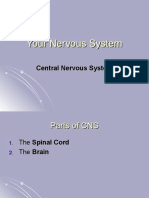 Functions of Nervous System