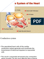 Conducting System of Heart