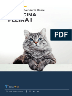 2022 04 Medicina Felina1 Mas Info