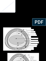 Structure of An Egg