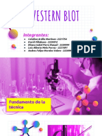 Western Blot Presentación