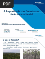 Floresta Dinamica Ambiental