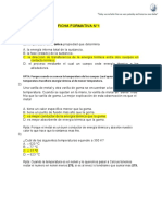 Ficha Formativa N°1 4to PD Temperatura, Calor