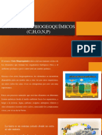 2.3.4.-Ciclos Biogeoquimicos