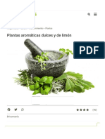 Plantas Aromáticas Dulces y de Limón - Bricomanía