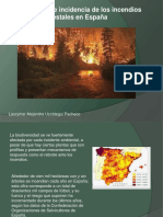 Laurymar Alejandra Uzcátegui Pacheco - Incendios Forestales en España