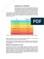 Epigenética de La Obesidad. Grupo D1