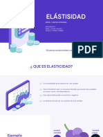 Elastisidad y Bienes