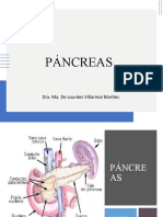 Pancreas