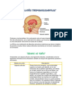 Articulación Temporomandibular