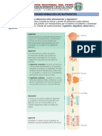 Ficha de Actividades - Cuarto Cyt