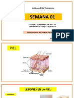 Sistema Tegumentario