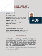 Curriculum Vitae Arnebis Enrique Gonzalez Vasquez