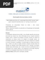 Rinotraqueíte Infecciosa Bovina (IBR) - Artigo