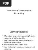 Overview of Government Accounting