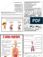 Cuidado Respiratorio Ciencia