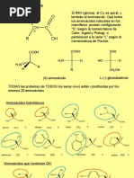 Aminoacidos y Proteinas - AQ