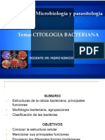 Citologia Bacteriana 1 Clase 5s