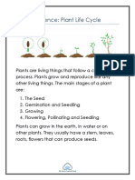 Plant Cycle