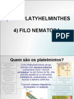 Platelmintos e Nematódeos