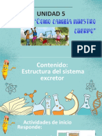 Sistema Excretor 2022 Cuarto