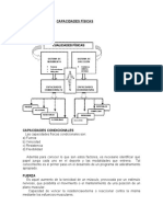 Capacidades - Fisicas - 7 05 21