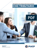 Brochure PSE Derecho Tributario PUCP